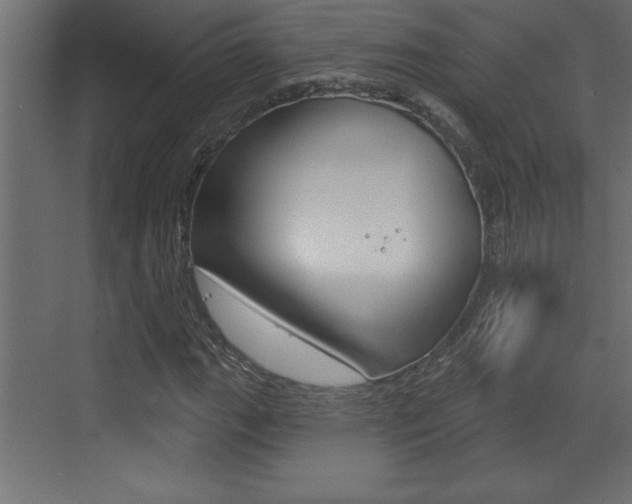 X0000073521111200607310942