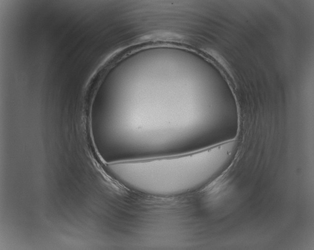 X0000073521115200607310942