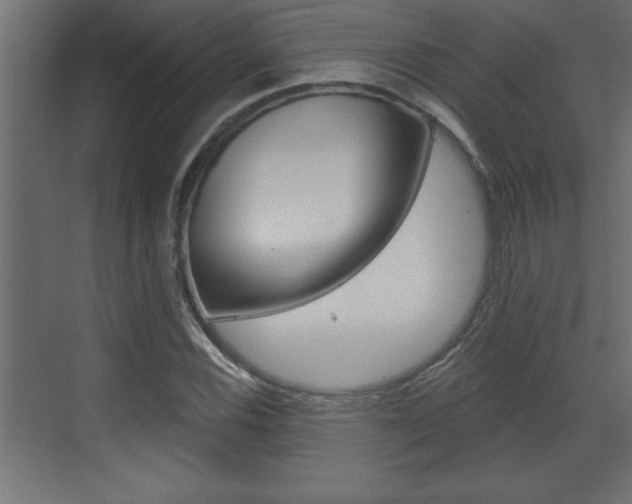 X0000073521116200607310942