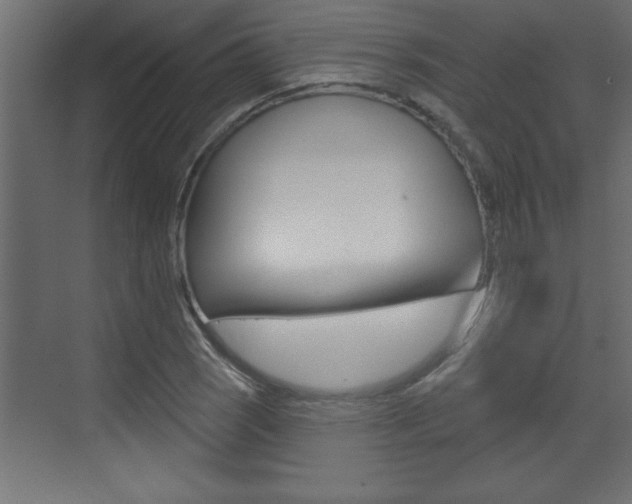 X0000073521121200607310942