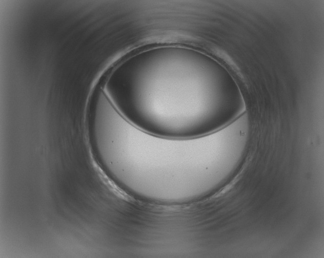 X0000073521122200607310943