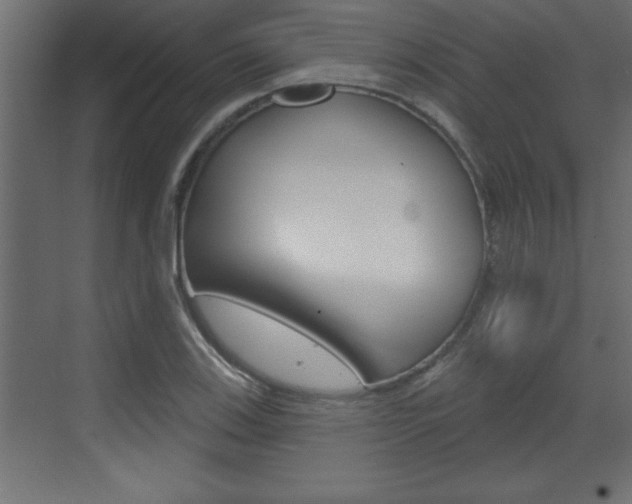 X0000073521123200607310943