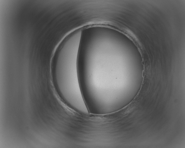 X0000073521124200607310943