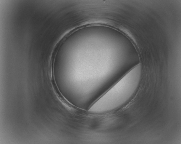 X0000073521127200607310943
