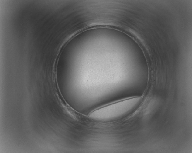 X0000073521129200607310943