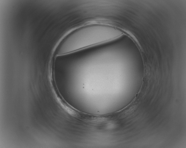 X0000073521131200607310943