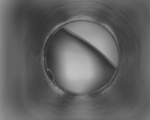 X0000073521133200607310943