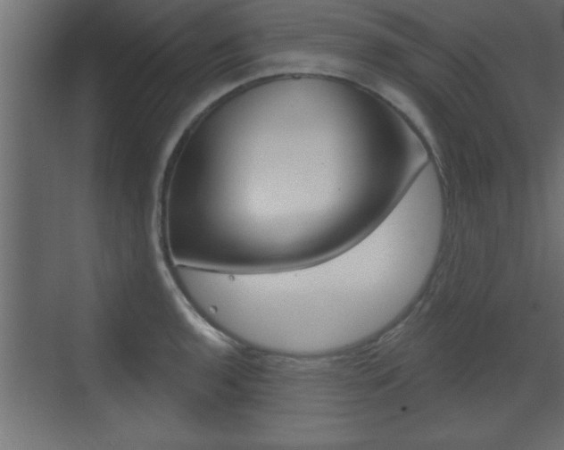 X0000073521136200607310943