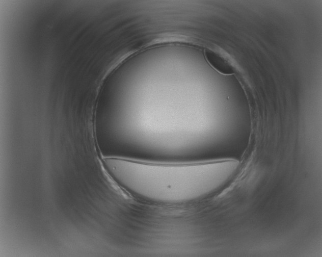 X0000073521137200607310943