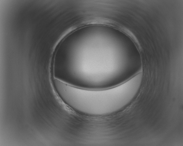 X0000073521138200607310943