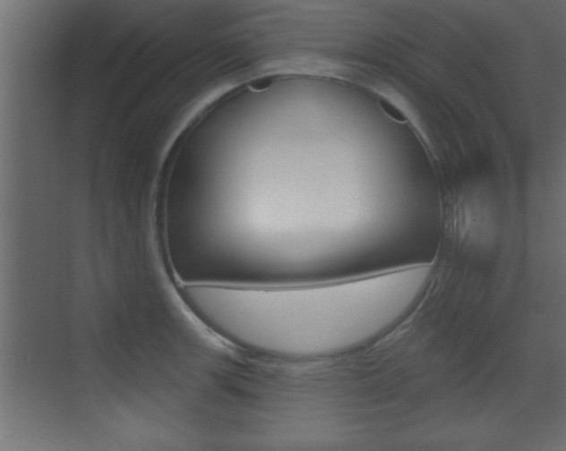 X0000073521139200607310943