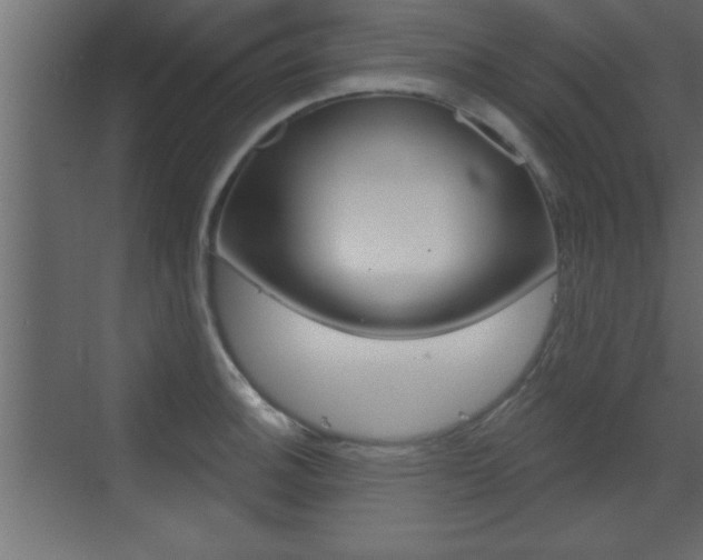 X0000073521140200607310943