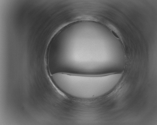 X0000073521141200607310943