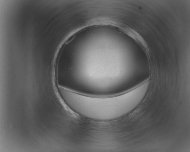 X0000073521144200607310943