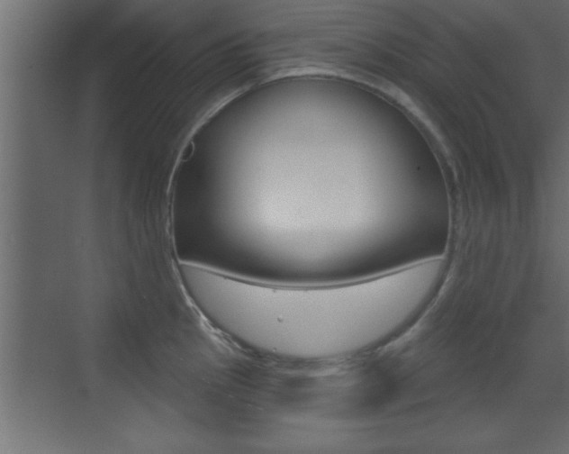 X0000073521145200607310943