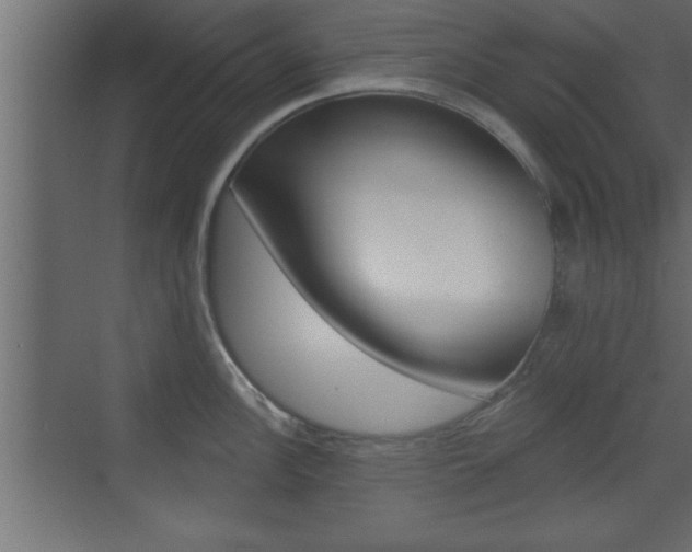 X0000073521148200607310943