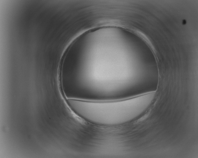 X0000073521149200607310943