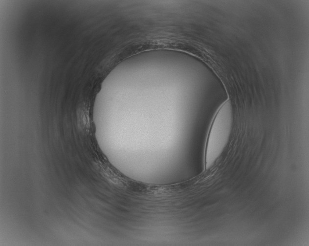 X0000073521155200607310942