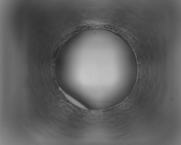 X0000073521157200607310942