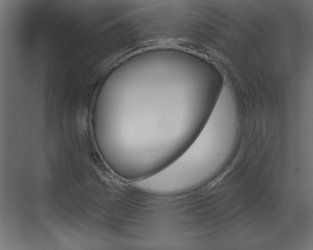 X0000073521161200607310942