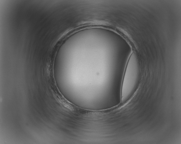 X0000073521163200607310942