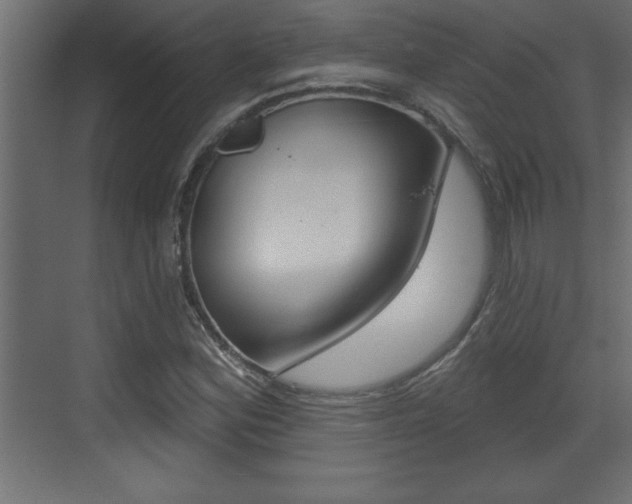 X0000073521164200607310942