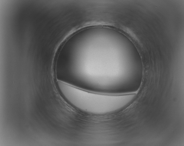 X0000073521173200607310942