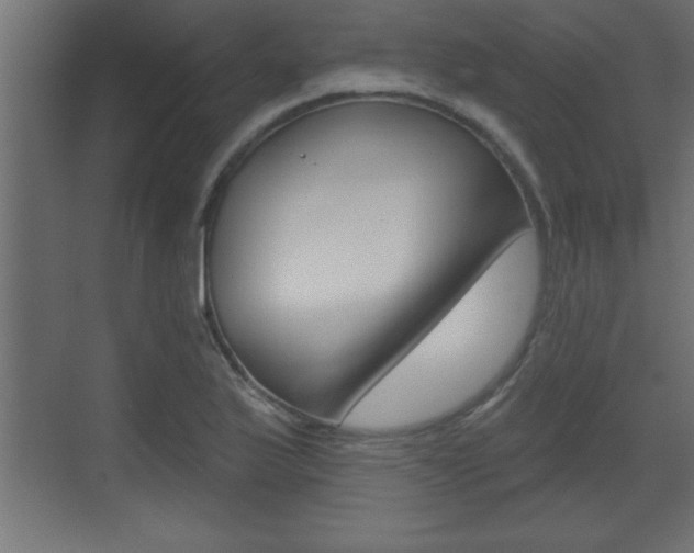 X0000073521175200607310942