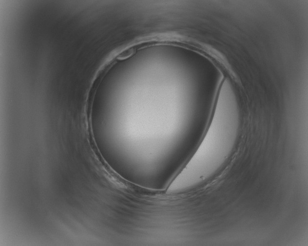 X0000073521176200607310942