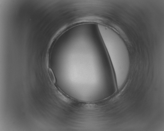 X0000073521180200607310942