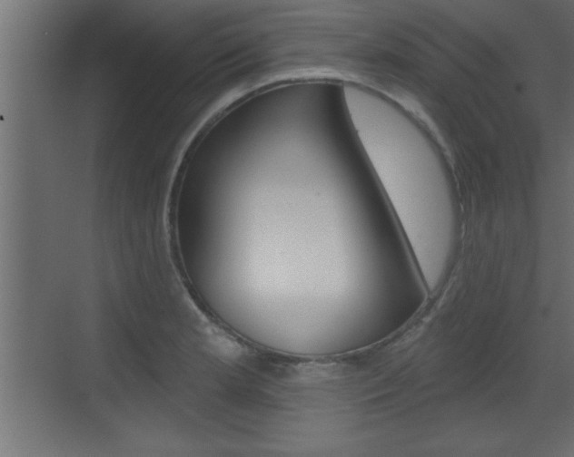 X0000073521181200607310942