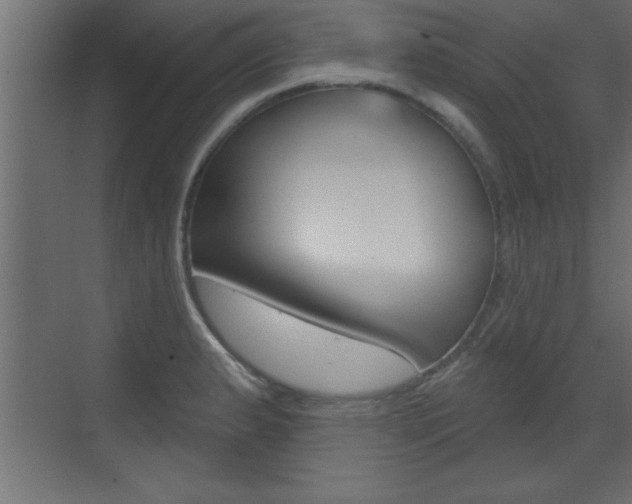 X0000073521183200607310942