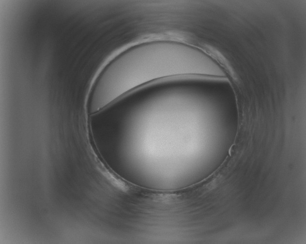 X0000073521184200607310942