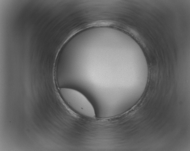 X0000073521186200607310942