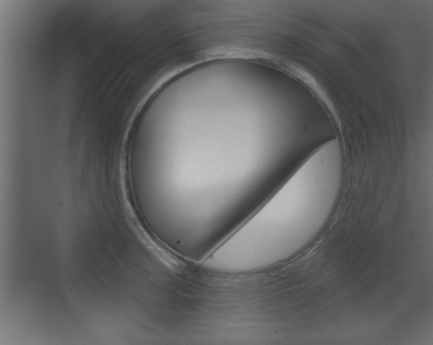 X0000073521187200607310942