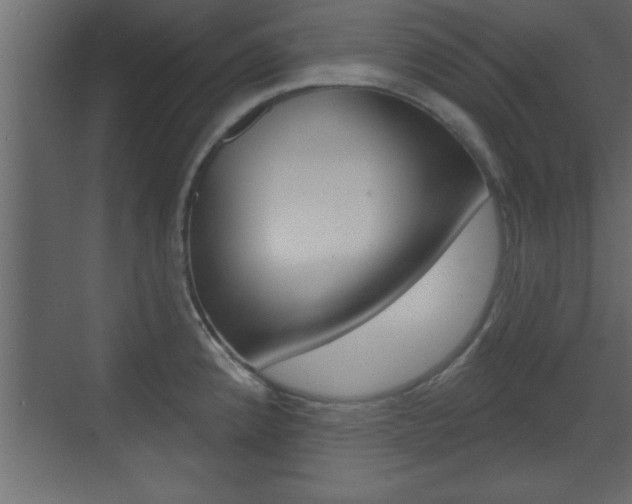 X0000073521192200607310942