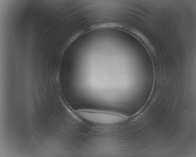 X0000073521193200607310942