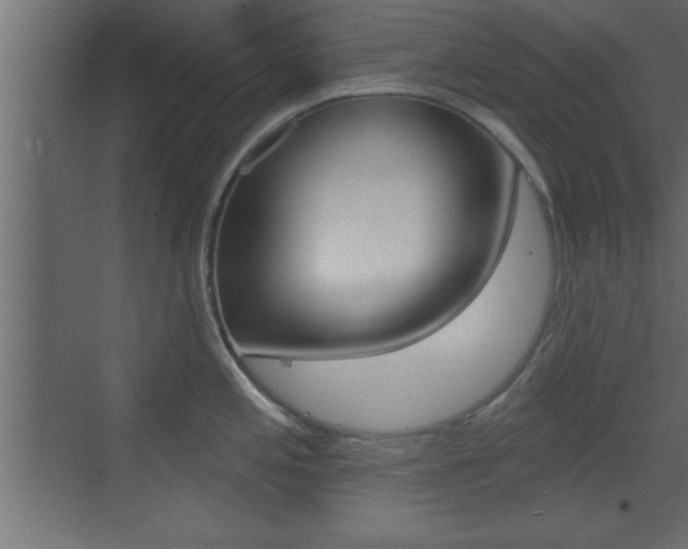 X0000073521197200607310941