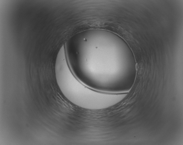 X0000073521202200607310941