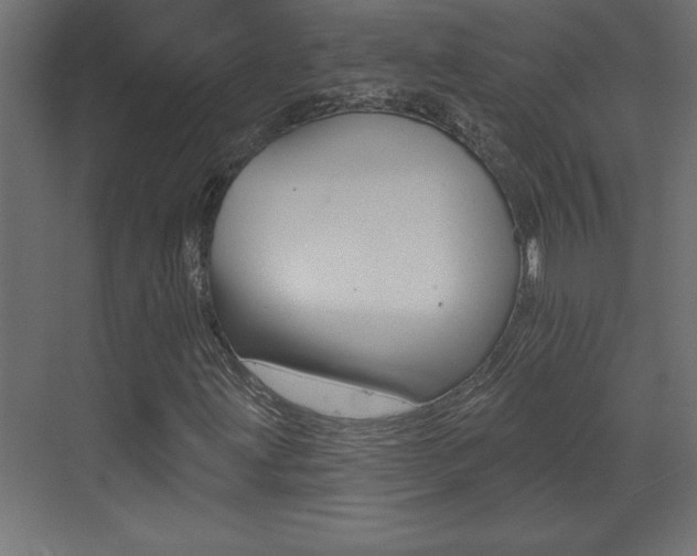 X0000073521203200607310941