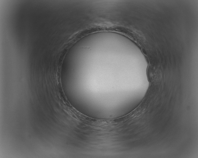 X0000073521205200607310941