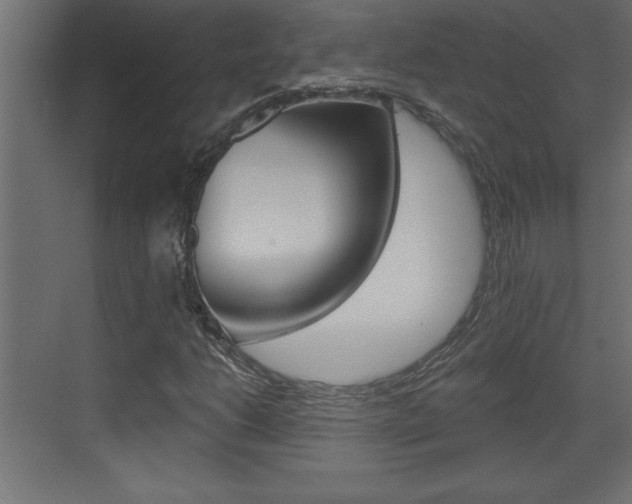 X0000073521206200607310941