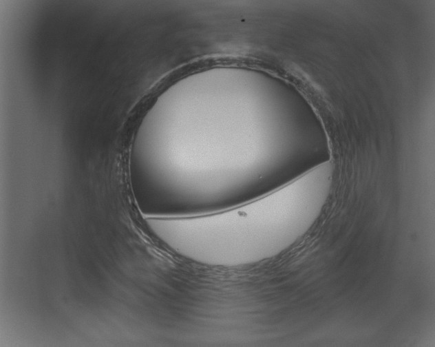 X0000073521208200607310941