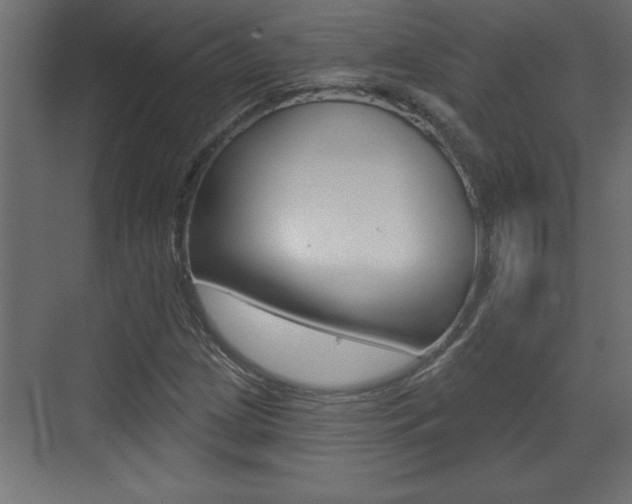 X0000073521209200607310941