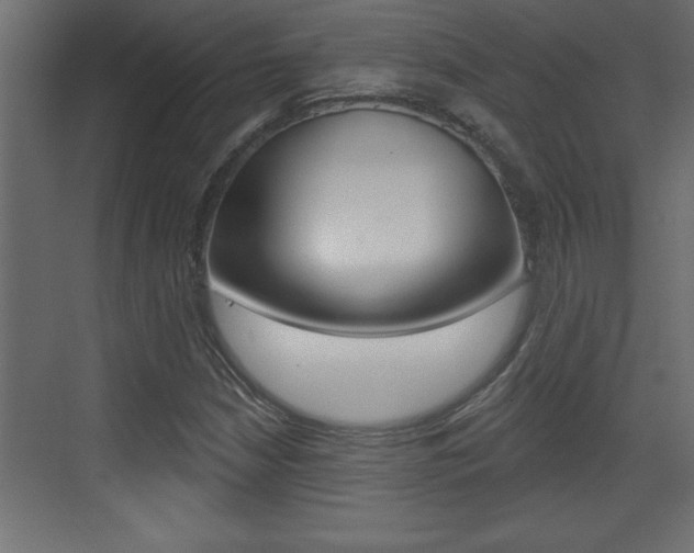 X0000073521210200607310941