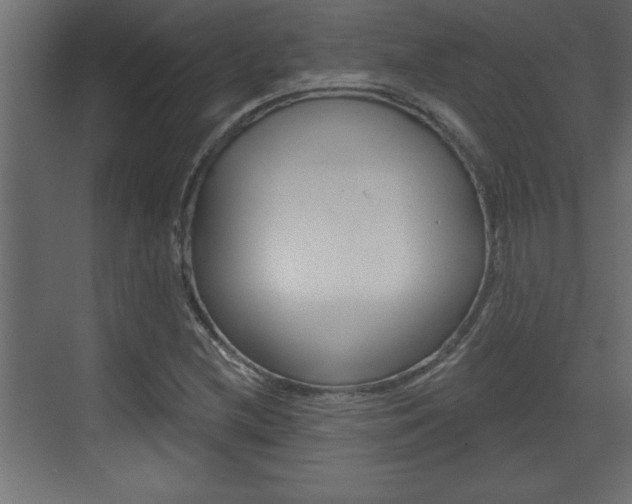 X0000073521212200607310941