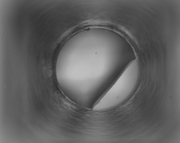 X0000073521213200607310941