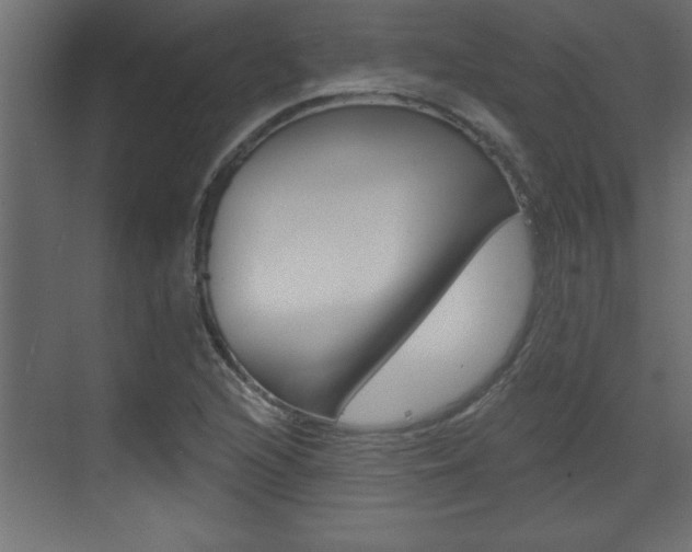 X0000073521216200607310941