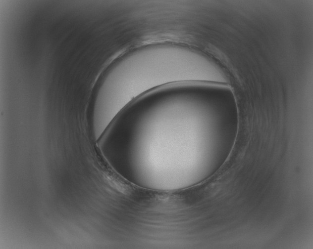 X0000073521218200607310941