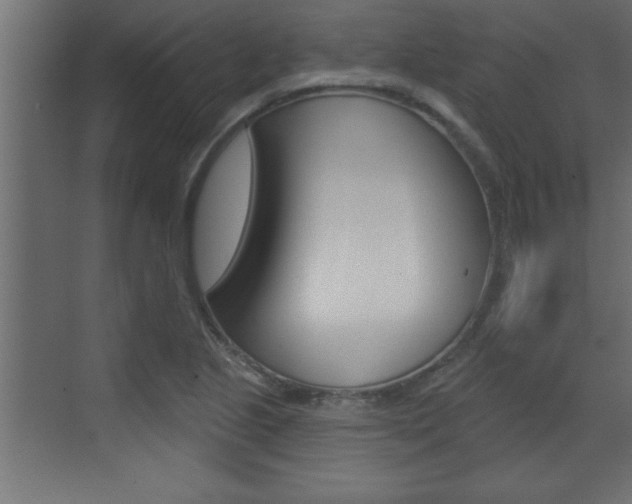X0000073521221200607310941